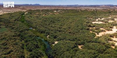 Turabah Dam: Where Water, Wildlife and Nature Meet